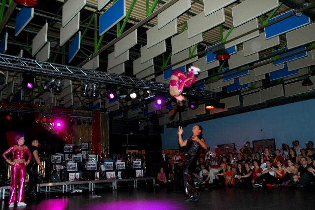 min 2005 11 12 fous swing 186